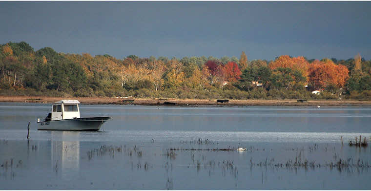 L'automne à Arès