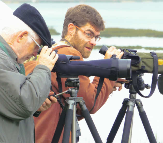 Comptage d'oiseaux avec des jumelles, avec le guide Alexandre d'Arès