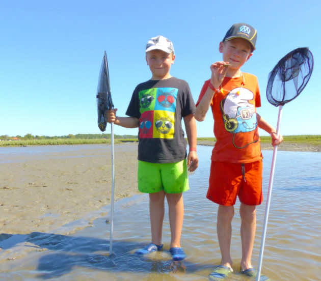 Pêche à pied avec les enfants à Arès