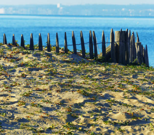 Plage de Saint-Brice, site naturel protégé à Arès