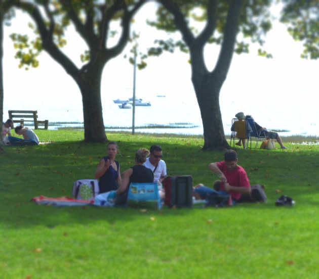 Détente dans l'herbe en face du Bassin d'Arcachon