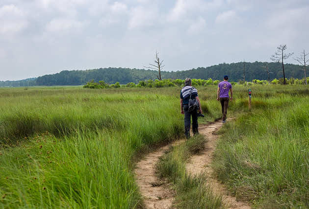 Promenade à pied entre amis pour découvrir la réserve naturelle des Prés Salés d'Arès.