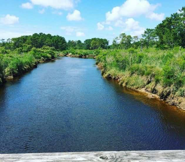 Canal des étangs de la réserve naturelle des prés salés d'Arès depuis la passerelle