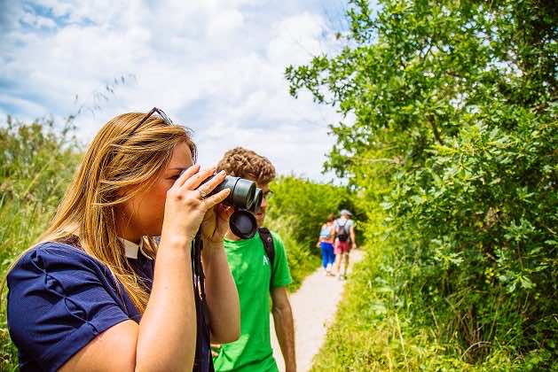 Observation d'oiseaux avec un guide naturaliste dans la réserve naturelle nationale des Prés Salés d'Arès-Lège Cap Ferret.