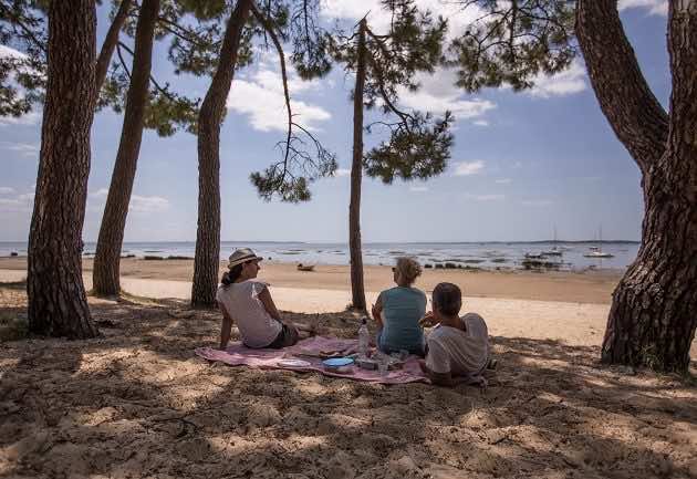 Pique-nique entre amis au triangle Pereire, à l'ombre des pins, à Arès.