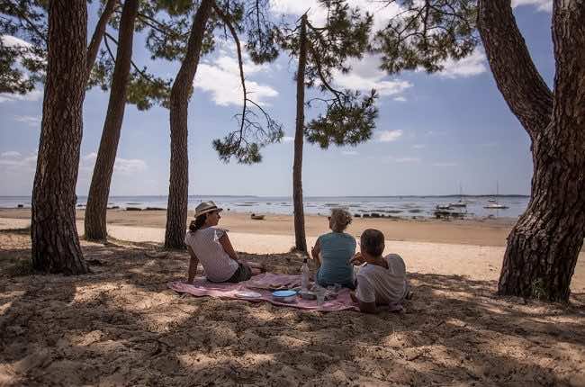 Pique-nique entre amis au triangle Pereire, à l'ombre des pins, à Arès.