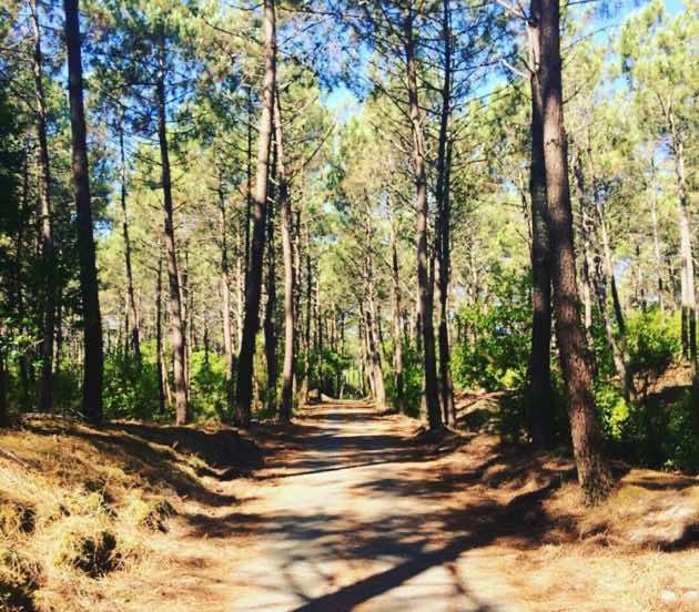 Piste cyclable du Bassin d'Arcachon