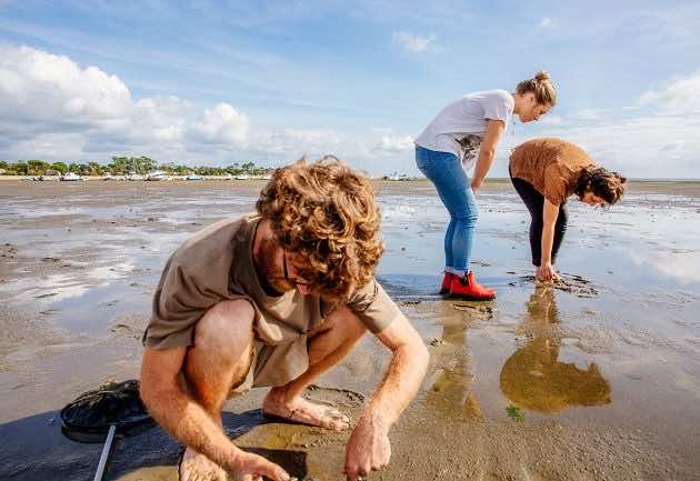 Pêche à pied sur le Bassin d'Arcachon avec un guide.