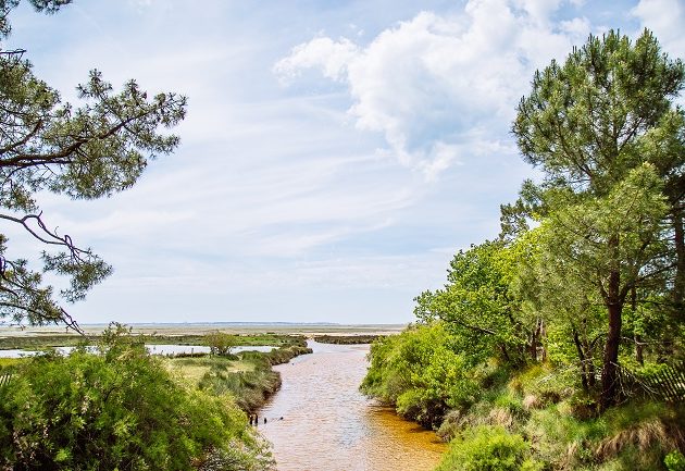 Rivière du Cirès qui coule sur le site naturel de St Brice, reconnaissable à son eau claire et à ses couleurs ocres.