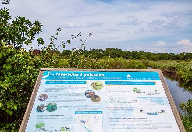 Panneau d'interprétation pour mieux comprendre la réserve naturelle des Prés Salés d'Arès-Lège Cap Ferret.