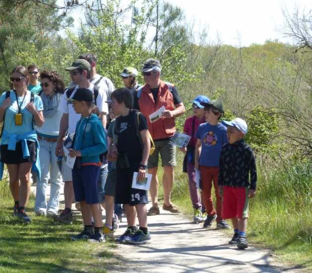 Sortie naturaliste en herbe à Arès