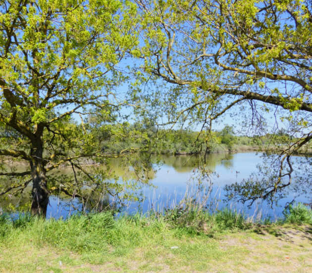 Paysage de la réserve naturelle nationale des Prés Salés