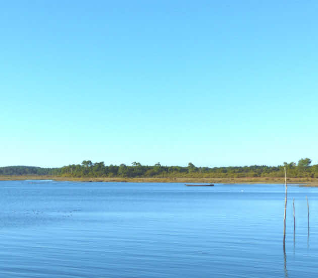 Réserve naturelle nationale des Prés Salés d'Arès