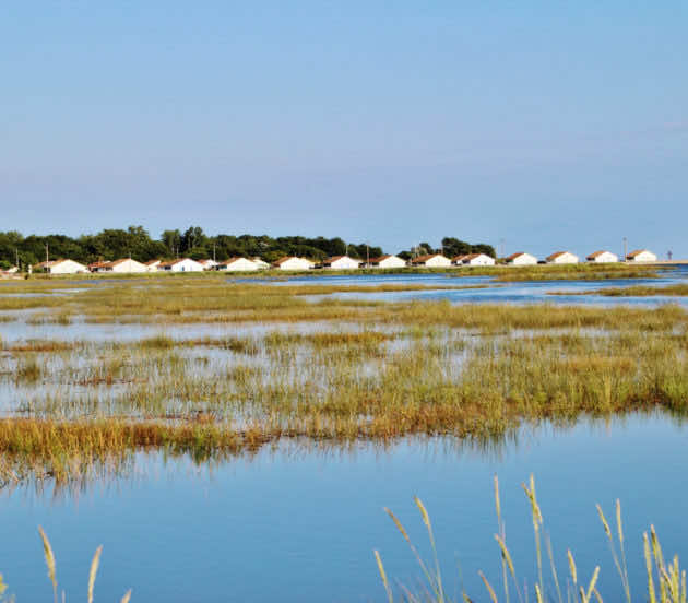 Port ostréicole d'Arès vu depuis la réserve naturelle nationale des prés salés