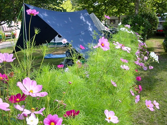 Tente sur un emplacement fleuri d'un camping d'Arès