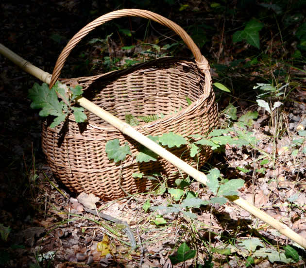 Matériel pour aller à la chasse aux champignons à Arès