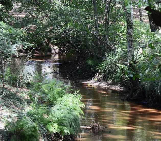 Petit ruisseau à Arès