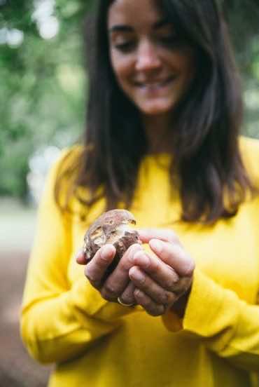 Sortie champignons organisée par l'Office de Tourisme d'Arès