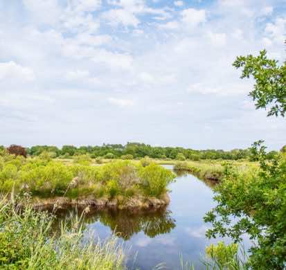 Prairies humides et réservoirs à poissons de la réserve naturelle des prés salés d'Arès