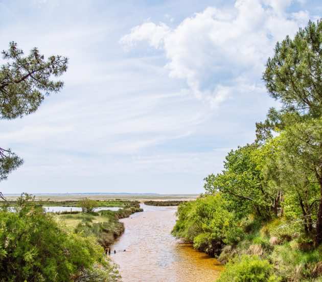 Rivière du cirès sur le site naturel de St Brice à Arès