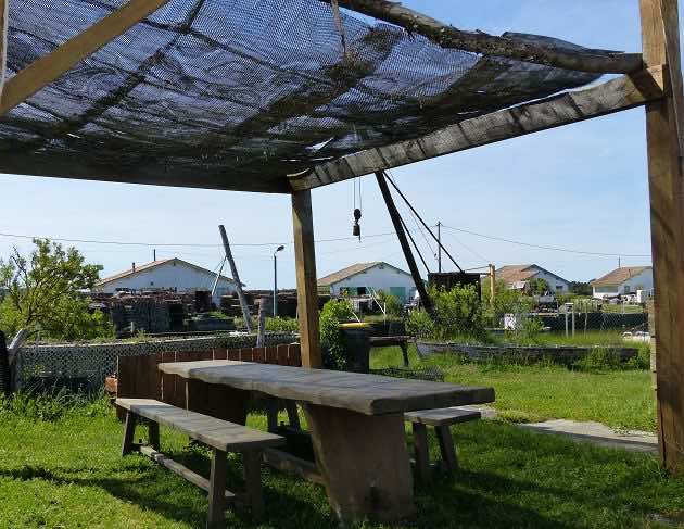 Terrasse d'une cabane ostréicole sur le port d'Arès