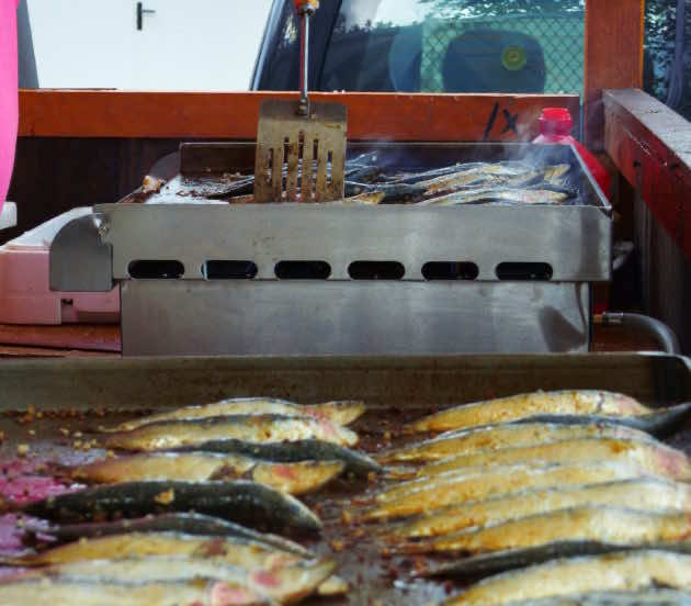 Sardines à Arès